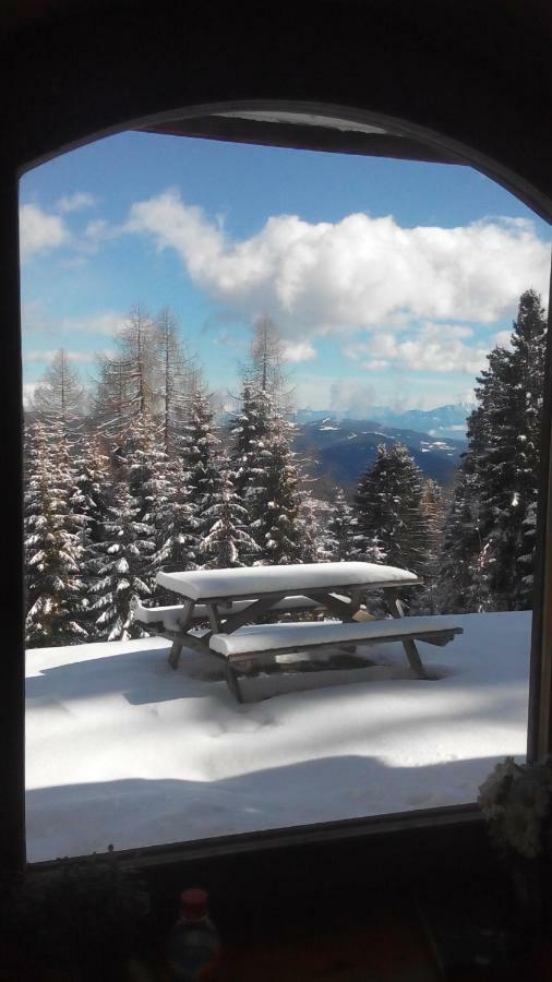 Villa-Alpenblick Hochrindl Eksteriør billede