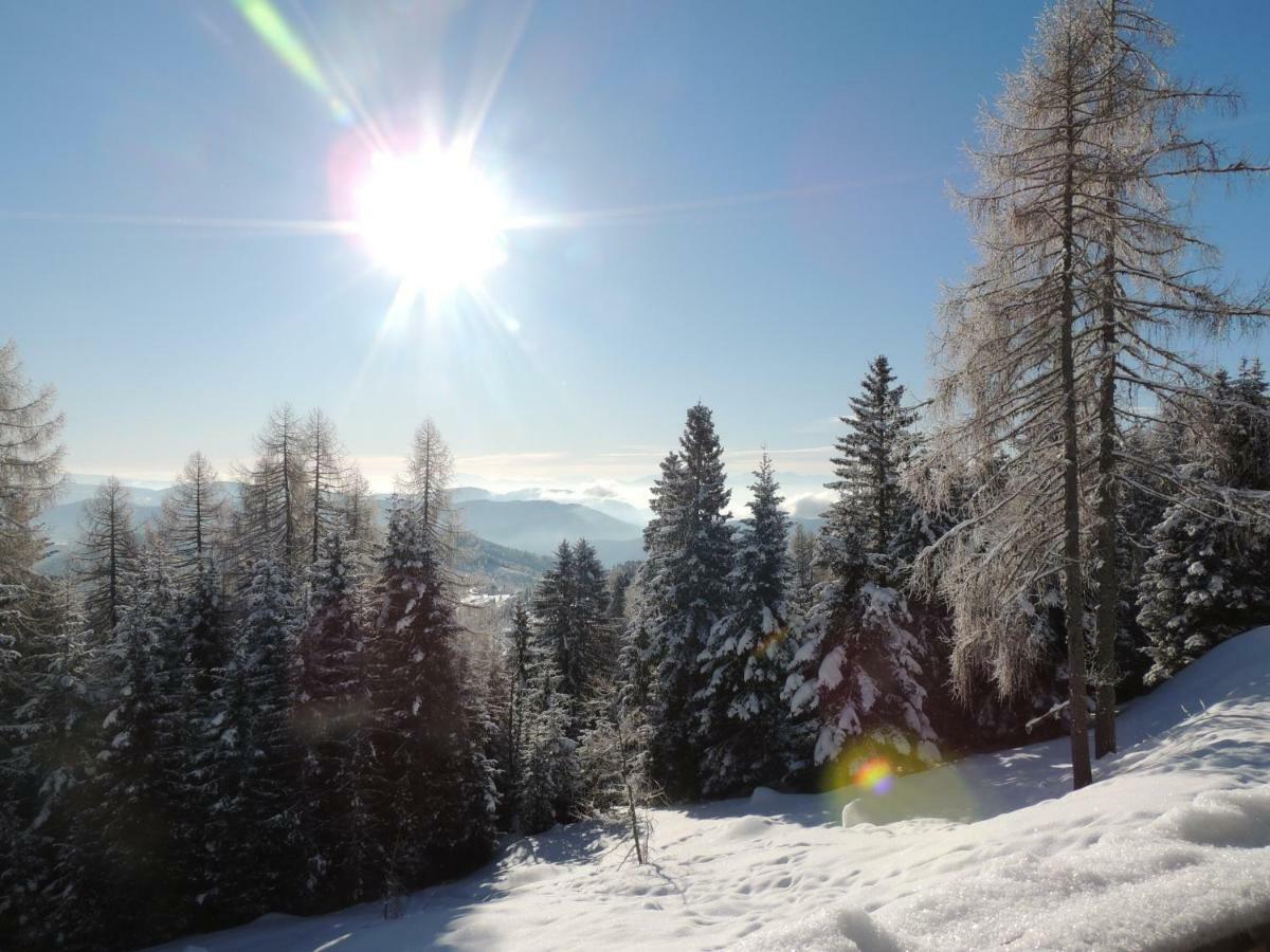 Villa-Alpenblick Hochrindl Eksteriør billede